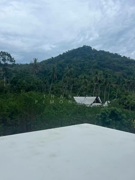 Unique House for Sale Surrounded by Beautiful Jungle, Surat Thani, Maret, Ko Samui, Surat Thani, 2 Bedrooms, 200 sqm, Single Detached House For Sale, by Thanya Pimonpat, 60251332 - DDproperty.com