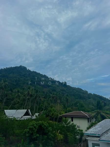 Unique House for Sale Surrounded by Beautiful Jungle, สุราษฎร์ธานี, มะเร็ต, เกาะสมุย, สุราษฎร์ธานี, 200 ตร.ม., บ้านเดี่ยว ขาย, โดย Thanya Pimonpat, 60251332 - DDproperty.com