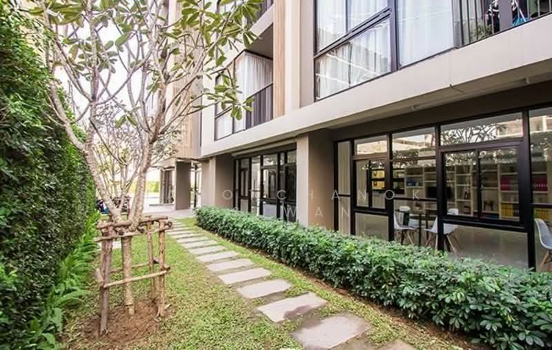 Palm Springs Nimman Parlor, Chiang Mai, Nimmanhaemin Road, Su Thep, Muang Chiang Mai, Chiang Mai, 1 Bedroom, 35 sqm, Condo For Sale, by Khamonchanok Aisuwan, 60251443 - DDproperty.com