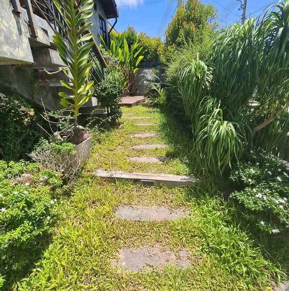 3 Bedroom House for sale at Coco Hill Villa, Surat Thani, Mae Nam, Ko Samui, Surat Thani, 3 Bedrooms, 200 sqm, Single Detached House For Sale, by Thanya Pimonpat, 60251451 - DDproperty.com