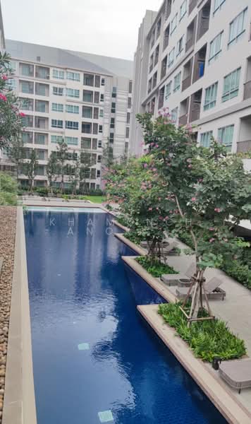 Dcondo Rin, Chiang Mai, Super Highway Rd. Chiang Mai - Lampang, Fa Ham, Muang Chiang Mai, Chiang Mai, 1 Bedroom, 33 sqm, Condo For Sale, by Khamonchanok Aisuwan, 60251539 - DDproperty.com