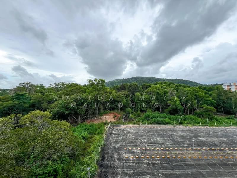The Base Central, Phuket, Chao Fah Tawan Tok Rd, Wichit, Muang Phuket, Phuket, Studio, 26 sqm, Condo For Sale, by Wanida (May) Mahawong, 60251851 - DDproperty.com