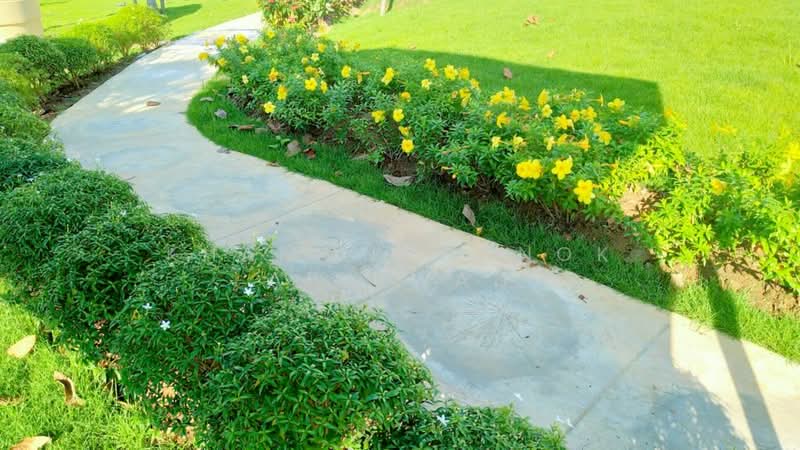 The Prominence Proud : เดอะ พรอมิเน้นซ์ พราวน์, เชียงใหม่, สันทรายน้อย, สันทราย, เชียงใหม่, 134 ตร.ม., บ้านเดี่ยว ขาย, โดย Khamonchanok Aisuwan, 60251879 - DDproperty.com