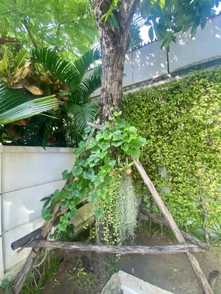 Town Avenue Rama 9, Bangkok, Soi Krungthep Kreetha 7, Hua Mak, Bang Kapi, Bangkok, 3 Bedrooms, 168 sqm, Townhouse For Rent, by Sittichai (Ice) Tulyanon, 60252000 - DDproperty.com