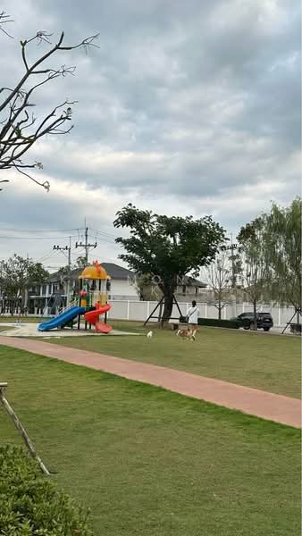 Baan Karnkanok 12 : บ้านกาญจน์กนก 12, เชียงใหม่, ซุปเปอร์ไฮเวย์เชียงใหม่, ไชยสถาน, สารภี, เชียงใหม่, 200 ตร.ม., บ้านเดี่ยว ให้เช่า, โดย Khamonchanok Aisuwan, 60252242 - DDproperty.com