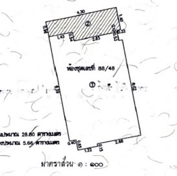 At The Tree Condominium, Phuket, Moo 2, Rawai, Muang Phuket, Phuket, Studio, 35 sqm, Condo For Sale, by Wanida (May) Mahawong, 60252400 - DDproperty.com