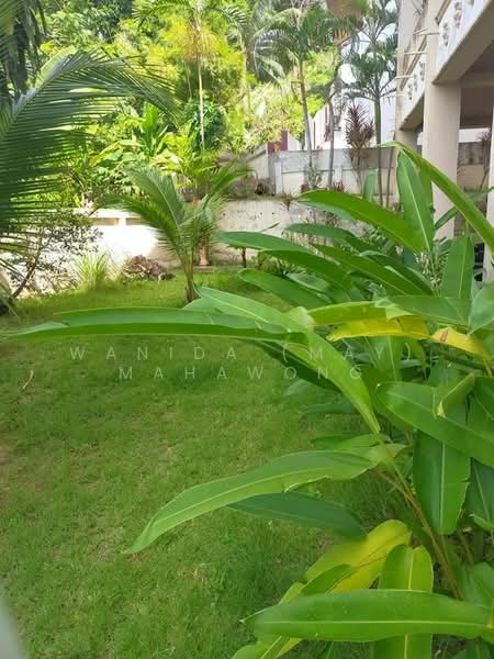 Les Cocotiers, Phuket, Nanai Road, Patong, Kathu, Phuket, 1 Bedroom, 63 sqm, Apartment For Sale, by Wanida (May) Mahawong, 60252472 - DDproperty.com
