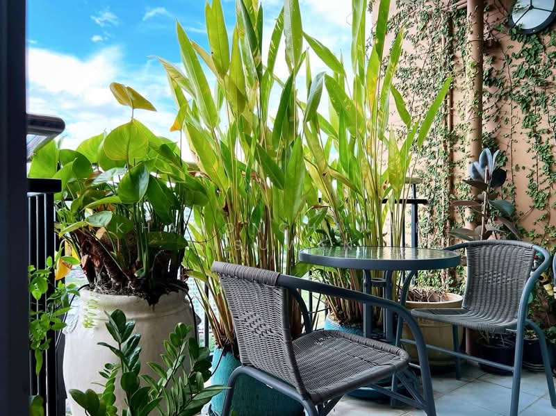 Supalai Monte at Viang, Chiang Mai, Super Highway, Wat Khet, Muang Chiang Mai, Chiang Mai, 1 Bedroom, 78 sqm, Condo For Rent, by Khamonchanok Aisuwan, 60252482 - DDproperty.com