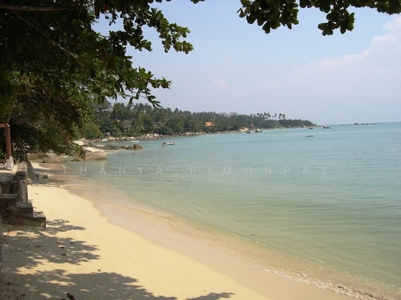 Villa in Taling Ngam for Sale, Surat Thani, Lipa Noi, Ko Samui, Surat Thani, 5 Bedrooms, 300 sqm, Single Detached House For Sale, by Thanya Pimonpat, 60252768 - DDproperty.com