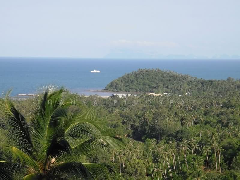 Villa in Taling Ngam for Sale, Surat Thani, Lipa Noi, Ko Samui, Surat Thani, 5 Bedrooms, 300 sqm, Single Detached House For Sale, by Thanya Pimonpat, 60252768 - DDproperty.com