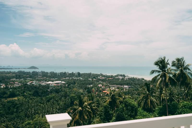 Sea View Villa at Nathon for Sale and Rent, Surat Thani, Ang Thong, Ko Samui, Surat Thani, 3 Bedrooms, 200 sqm, Villa For Sale, by Thanya Pimonpat, 60252797 - DDproperty.com