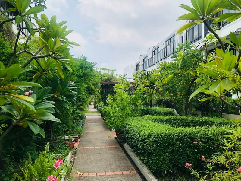 Garden House Rama 3, Bangkok, Soi Nonsi, Chong Nonsi, Yan Nawa, Bangkok, 2 Bedrooms, 400 sqm, Townhouse For Rent, by Sittichai (Ice) Tulyanon, 60253065 - DDproperty.com