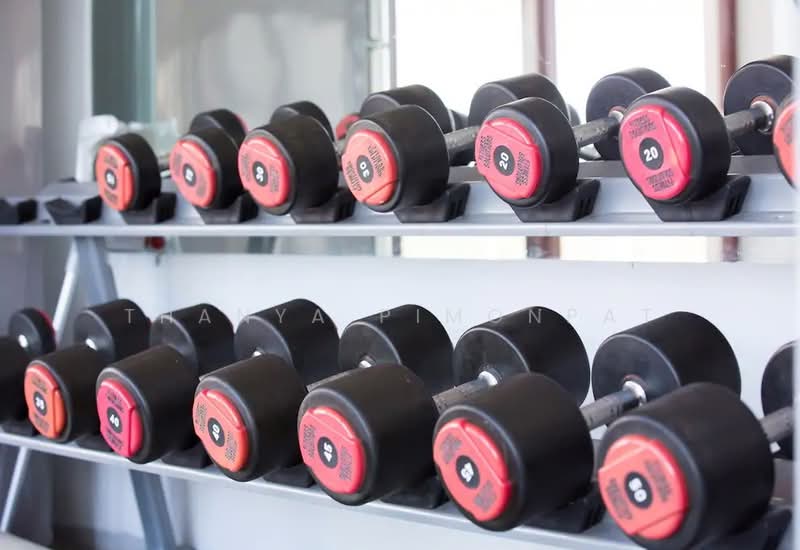 The Bay Condominium : เดอะ เบย์ คอนโดมิเนียม, สุราษฎร์ธานี, หมู่ 4 บ่อผุด, บ่อผุด, เกาะสมุย, สุราษฎร์ธานี, 58 ตร.ม., คอนโด ให้เช่า, โดย Thanya Pimonpat, 60253165 - DDproperty.com