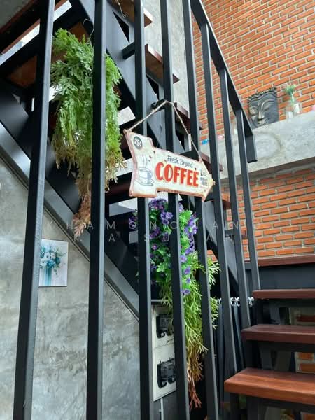 6 Bedrooms 6 Bathrooms House Modern Loft Style for Sale in Chiang Mai, เชียงใหม่, สุเทพ, เมืองเชียงใหม่, เชียงใหม่, 240 ตร.ม., บ้านเดี่ยว ให้เช่า, โดย Khamonchanok Aisuwan, 60253235 - DDproperty.com