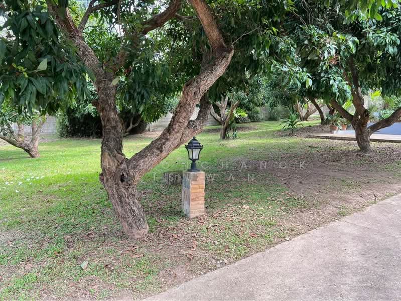 House with Private Pool and Big Garden for Rent, เชียงใหม่, ห้วยทราย, แม่ริม, เชียงใหม่, 400 ตร.ม., บ้านเดี่ยว ให้เช่า, โดย Khamonchanok Aisuwan, 60253240 - DDproperty.com