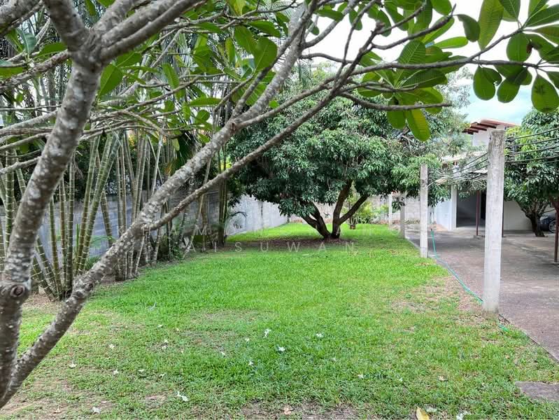 House with Private Pool and Big Garden for Rent, เชียงใหม่, ห้วยทราย, แม่ริม, เชียงใหม่, 400 ตร.ม., บ้านเดี่ยว ให้เช่า, โดย Khamonchanok Aisuwan, 60253240 - DDproperty.com