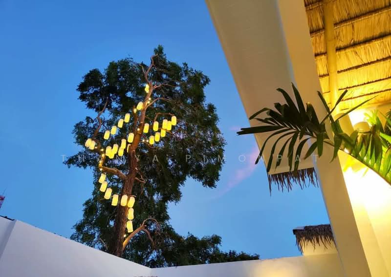 Private Pool Villa for Rent in Bangrak, Surat Thani, Bo Put, Ko Samui, Surat Thani, 3 Bedrooms, 150 sqm, Villa For Rent, by Thanya Pimonpat, 60253264 - DDproperty.com