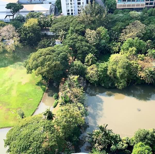 Oriental Residence : โอเรียนเต็ล เรสซิเดนซ์, กรุงเทพ, 110 ถนนวิทยุ, ลุมพินี, ปทุมวัน, กรุงเทพ, 114 ตร.ม., คอนโด ให้เช่า, โดย Sittichai (Ice) Tulyanon, 60253598 - DDproperty.com