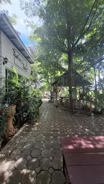 House for Sale withe Restrurant Business, Chiang Mai, Hang Dong, Hang Dong, Chiang Mai, 5 Bedrooms, 672 sqm, Single Detached House For Rent, by Khamonchanok Aisuwan, 60253673 - DDproperty.com