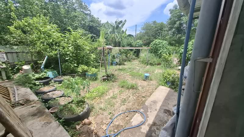 บ้านพร้อมกิจการร้านอาหารสำหรับขาย, เชียงใหม่, หางดง, หางดง, เชียงใหม่, 672 ตร.ม., บ้านเดี่ยว ให้เช่า, โดย Khamonchanok Aisuwan, 60253673 - DDproperty.com