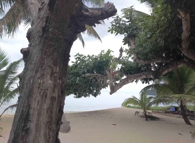 Beachfont House 100 meter to the Beach for Rent, สุราษฎร์ธานี, ลิปะน้อย, เกาะสมุย, สุราษฎร์ธานี, 75 ตร.ม., บ้านเดี่ยว ให้เช่า, โดย Thanya Pimonpat, 60253758 - DDproperty.com