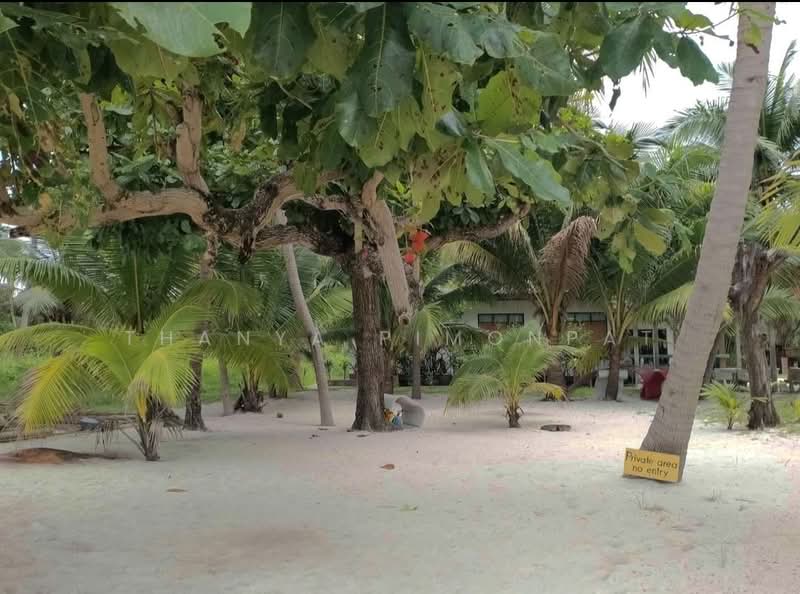 Beachfont House 100 meter to the Beach for Rent, Surat Thani, Lipa Noi, Ko Samui, Surat Thani, 1 Bedroom, 75 sqm, Single Detached House For Rent, by Thanya Pimonpat, 60253758 - DDproperty.com