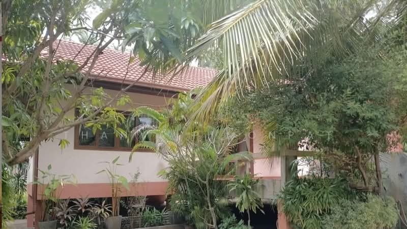 Beachfont House 100 meter to the Beach for Rent, Surat Thani, Lipa Noi, Ko Samui, Surat Thani, 1 Bedroom, 75 sqm, Single Detached House For Rent, by Thanya Pimonpat, 60253758 - DDproperty.com