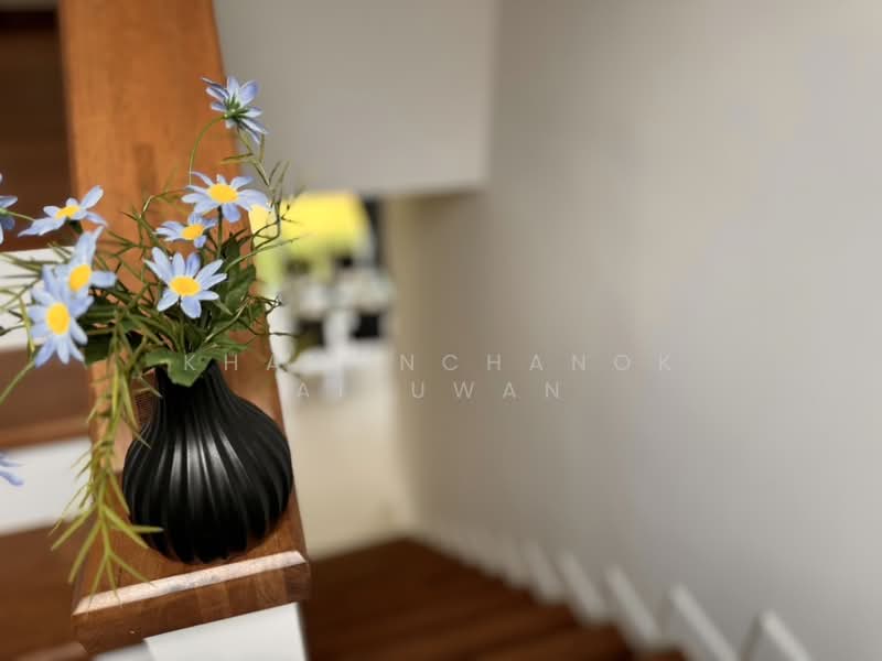 Supalai Bella Donkaew-Maerim, Chiang Mai, Mae Sa, Mae Rim, Chiang Mai, 3 Bedrooms, 148 sqm, Single Detached House For Rent, by Khamonchanok Aisuwan, 60253812 - DDproperty.com