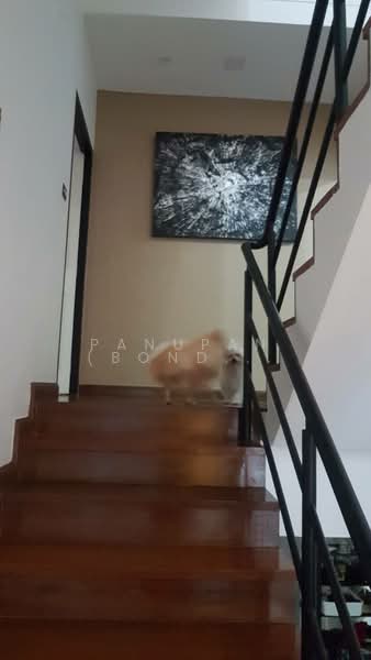 ชาโตเดล เรสซิเดนซ์, ชลบุรี, หนองปรือ, บางละมุง, ชลบุรี, 244 ตร.ม., บ้านเดี่ยว ให้เช่า, โดย Panupan (Bond) Thongpan, 60254148 - DDproperty.com