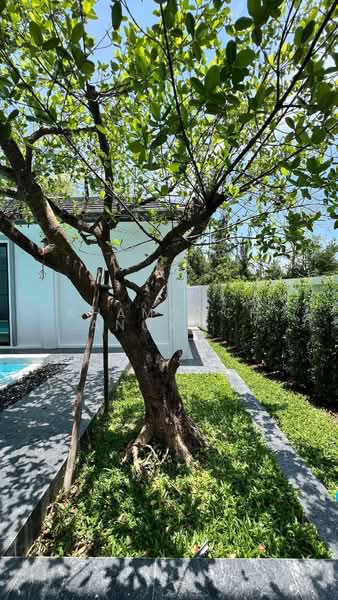 Tarndong Park View, Chiang Mai, Ban Waen, Hang Dong, Chiang Mai, 5 Bedrooms, 440 sqm, Villa For Sale, by Khamonchanok Aisuwan, 60254190 - DDproperty.com