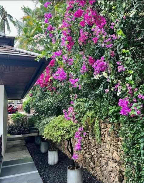 Stunning Luxury 3 Bedrooms Sea View Villa with Private Pool, Surat Thani, Ang Thong, Ko Samui, Surat Thani, 3 Bedrooms, 500 sqm, Villa For Rent, by Thanya Pimonpat, 60254517 - DDproperty.com