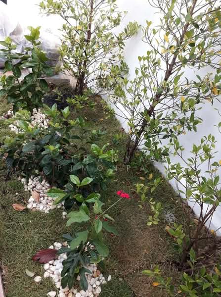 2 Bedroom House Near Nathon for Rent, Surat Thani, Ang Thong, Ko Samui, Surat Thani, 2 Bedrooms, 100 sqm, Single Detached House For Rent, by Thanya Pimonpat, 60254522 - DDproperty.com