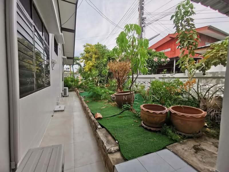 House for Sale and Rent Close to Klai Kangwon Palace, ประจวบคีรีขันธ์, หัวหิน, หัวหิน, ประจวบคีรีขันธ์, 200 ตร.ม., บ้านเดี่ยว ให้เช่า, โดย Parkkapol (Smile) Luecha, 60254600 - DDproperty.com