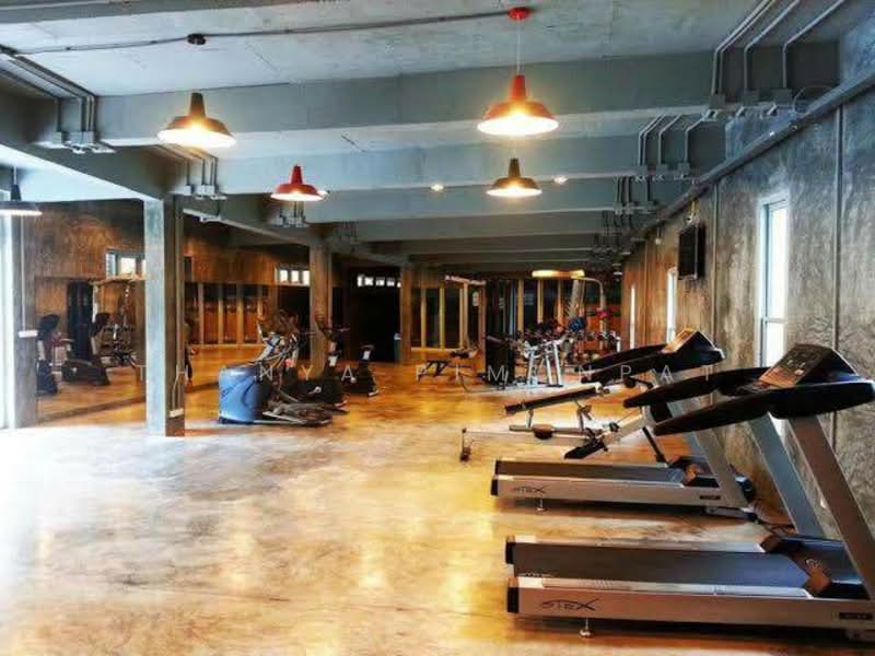 Replay Residence & Pool Villa : รีเพลย์ เรสซิเดนซ์ แอนด์ พูลวิลล่า, สุราษฎร์ธานี, บ่อผุด, เกาะสมุย, สุราษฎร์ธานี, 167 ตร.ม., ทาวน์เฮ้าส์ ให้เช่า, โดย Thanya Pimonpat, 60254759 - DDproperty.com