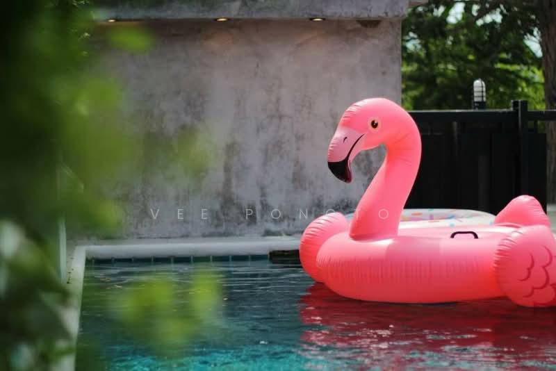 หัวหิน พูลวิลล่า (Hua Hin Pool Villa), ประจวบคีรีขันธ์, Hua Hin City, หัวหิน, หัวหิน, ประจวบคีรีขันธ์, 150 ตร.ม., ทาวน์เฮ้าส์ ให้เช่า, โดย Parkkapol (Smile) Luecha, 60254846 - DDproperty.com