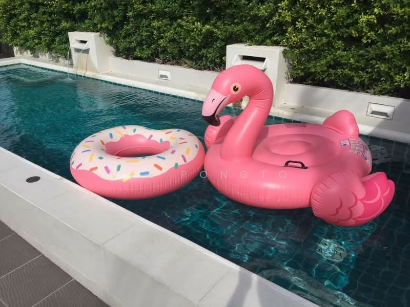 Hua Hin Pool Villa, Prachuap Khiri Khan, Hua Hin City, Hua Hin, Hua Hin, Prachuap Khiri Khan, 2 Bedrooms, 150 sqm, Townhouse For Rent, by Parkkapol (Smile) Luecha, 60254846 - DDproperty.com