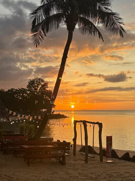 ให้เช่า - 3 ห้องนอนริมชายหาดในบางโพ, สุราษฎร์ธานี