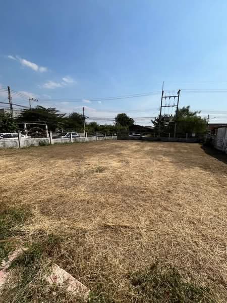 Park Rung Ruang, Chon Buri (Pattaya), Nong Pru, Bang Lamung (Pattaya), Chon Buri (Pattaya), 2 Bedrooms, 200 sqm, Single Detached House For Sale, by Panupan (Bond) Thongpan, 60254879 - DDproperty.com