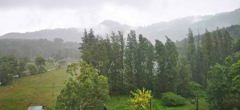 The Nice Condotel, Phuket, Village No. 5 8/88, Choeng Thale, Thalang, Phuket, 1 Bedroom, 62 sqm, Condo For Rent, by Wanida (May) Mahawong, 60254956 - DDproperty.com