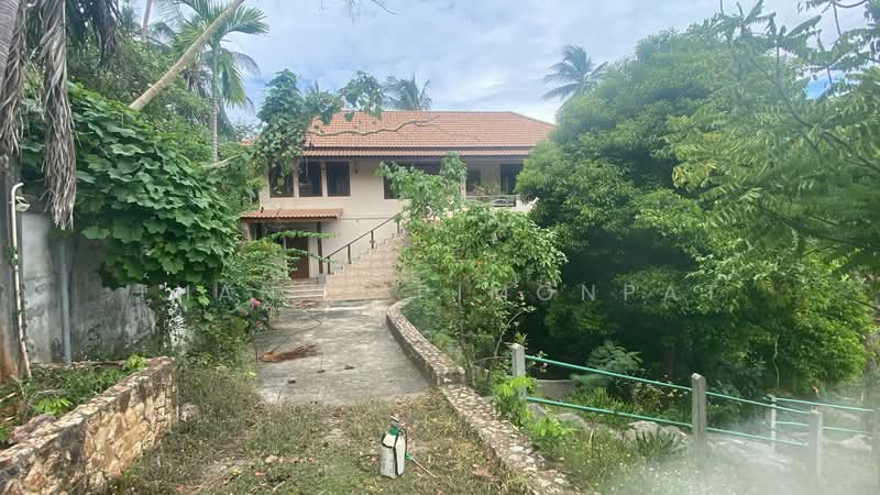 บ้านเดี่ยว 6 ห้องนอน ให้เช่า ในทำเล เกาะสมุย, สุราษฎร์ธานี, ตลิ่งงาม, เกาะสมุย, สุราษฎร์ธานี, 279 ตร.ม., บ้านเดี่ยว ให้เช่า, โดย Thanya Pimonpat, 60254961 - DDproperty.com