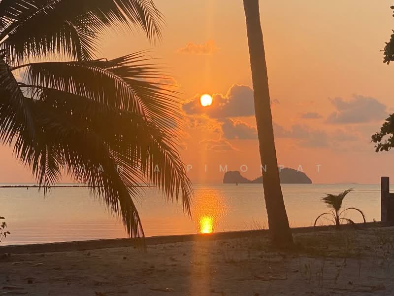 บ้านเดี่ยว 6 ห้องนอน ให้เช่า ในทำเล เกาะสมุย, สุราษฎร์ธานี, ตลิ่งงาม, เกาะสมุย, สุราษฎร์ธานี, 279 ตร.ม., บ้านเดี่ยว ให้เช่า, โดย Thanya Pimonpat, 60254961 - DDproperty.com