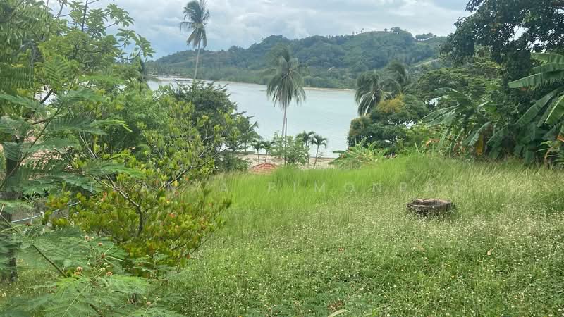 Beach House 4 Separate Villas with Pool & Beach Access, Surat Thani, Taling Ngam, Ko Samui, Surat Thani, 6 Bedrooms, 279 sqm, Single Detached House For Rent, by Thanya Pimonpat, 60254961 - DDproperty.com