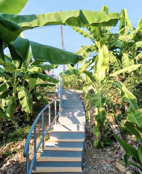 4 Bedrooms Private Pool Sea View Villa for Rent, Phuket, Wichit, Muang Phuket, Phuket, 4 Bedrooms, 300 sqm, Villa For Rent, by Wanida (May) Mahawong, 60254981 - DDproperty.com