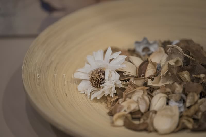 The Ace Ekamai : ดิ เอซ เอกมัย, กรุงเทพ, ซอย ปรีดีพนมยงค์ 31, คลองตันเหนือ, วัฒนา, กรุงเทพ, 43 ตร.ม., คอนโด ให้เช่า, โดย Sittichai (Ice) Tulyanon, 60255187 - DDproperty.com