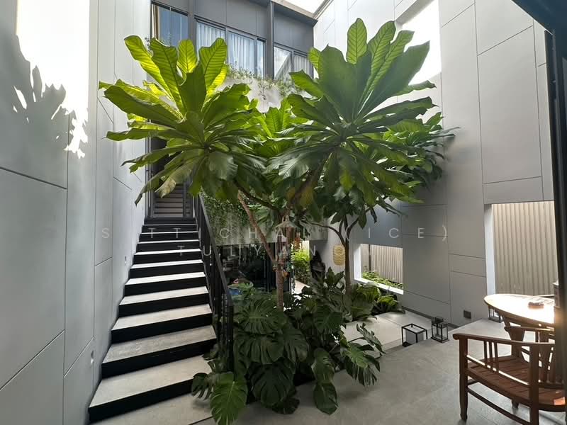 Baan Puripuri Courtyard Pattanakarn, Bangkok, Suan Luang, Suan Luang, Bangkok, 3 Bedrooms, 246 sqm, Townhouse For Rent, by Sittichai (Ice) Tulyanon, 60255199 - DDproperty.com