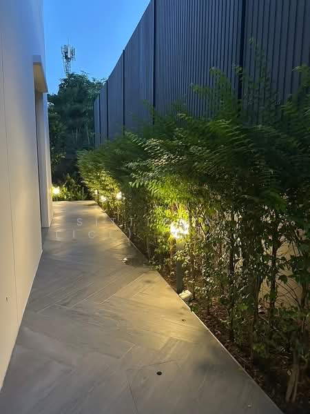 Baan Puripuri Courtyard Pattanakarn : บ้านภูริปุรี คอร์ทยาร์ด พัฒนาการ, กรุงเทพ, สวนหลวง, สวนหลวง, กรุงเทพ, 246 ตร.ม., ทาวน์เฮ้าส์ ให้เช่า, โดย Sittichai (Ice) Tulyanon, 60255199 - DDproperty.com