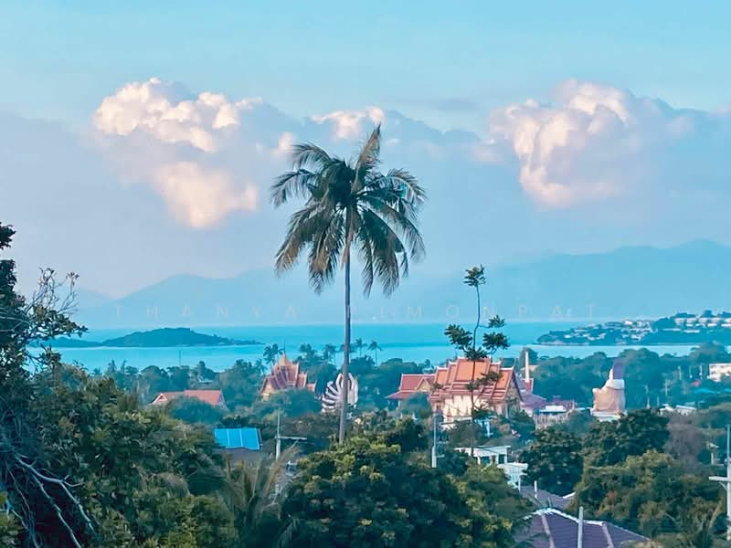 3 Bedroom sea view private pool villa, Surat Thani, Bo Put, Ko Samui, Surat Thani, 3 Bedrooms, 250 sqm, Villa For Sale, by Thanya Pimonpat, 60255620 - DDproperty.com