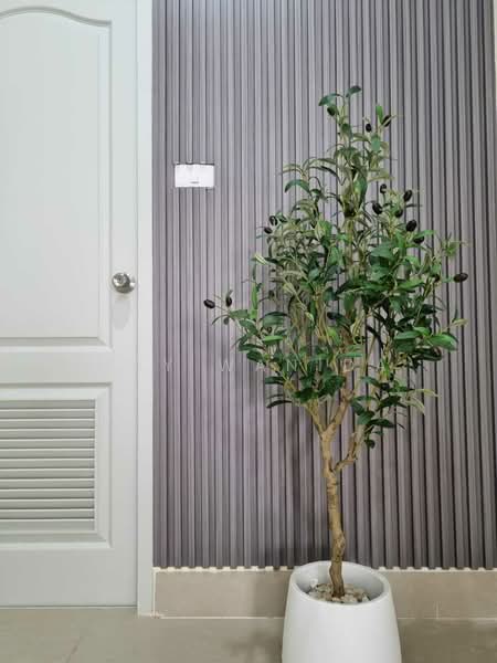 Phuket Villa Kathu 2, ภูเก็ต, กะทู้, กะทู้, ภูเก็ต, 180 ตร.ม., บ้านเดี่ยว ให้เช่า, โดย Wanida (May) Mahawong, 60256099 - DDproperty.com