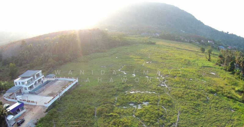 ขายที่ดิน ในทำเล ถลาง, ภูเก็ต, สาคู, ถลาง, ภูเก็ต, 400 ตร.ม., ที่ดิน ขาย, โดย Wanida (May) Mahawong, 60256367 - DDproperty.com