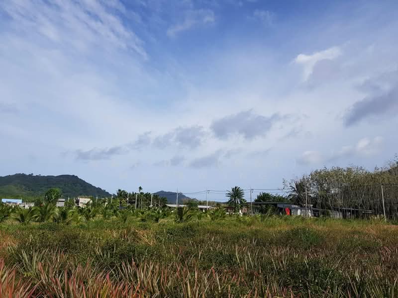 ขายที่ดิน ในทำเล ถลาง, ภูเก็ต, สาคู, ถลาง, ภูเก็ต, 400 ตร.ม., ที่ดิน ขาย, โดย Wanida (May) Mahawong, 60256367 - DDproperty.com